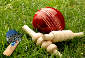 Cricket Pitch Nets Setup